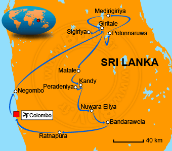 Carte circuit Colombo